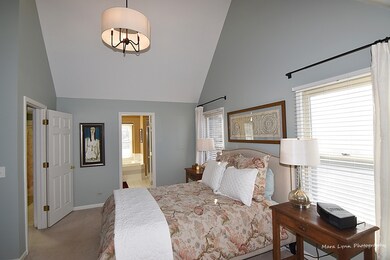 1150 Wintergreen Terrace, Batavia, IL 60510 - photo 4