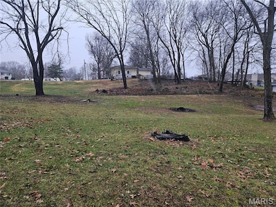 19 Fairway Dr, Bethalto, IL 62010 - photo 2