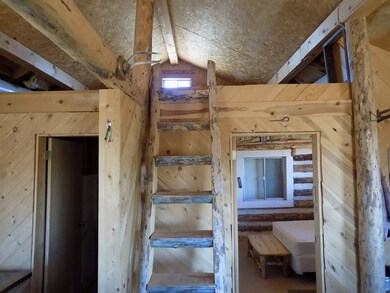 2703 Rhyolite Dr, Como, CO 80432 - photo 4