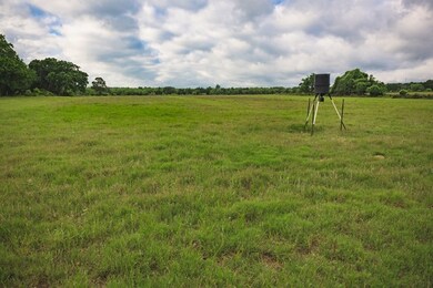 1035 Hollmig Ln, Fredericksburg, TX 78624 - photo 5