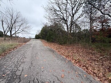 136 Lots Turkey Mountain Estates, Shell Knob, MO 65747 - photo 4
