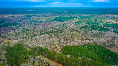 0 Hwy 24 East 76 Acres, Prescott, AR 71857 - photo 6