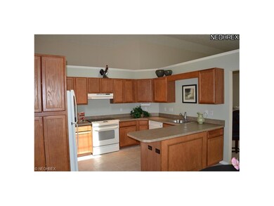 106 Windsor Cir unit 23, Aurora, OH 44202 - photo 3