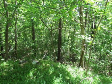 Sequatchie Mtn Road