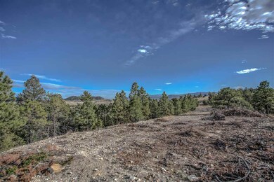 5163 Walden Loop, Helena, MT 59602 - photo 7