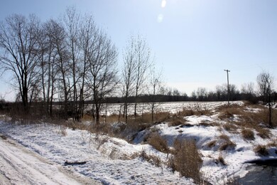 IMG_3902 111
