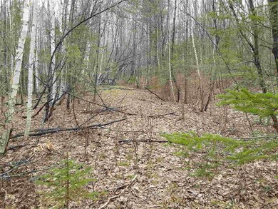 2 Highland Cir, Lyndon, VT 05851 - photo 4