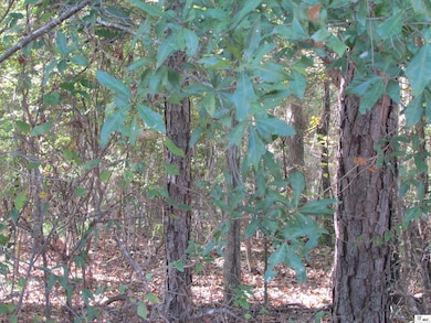 0 Oklahoma St, Bastrop, LA 71220 - photo 5