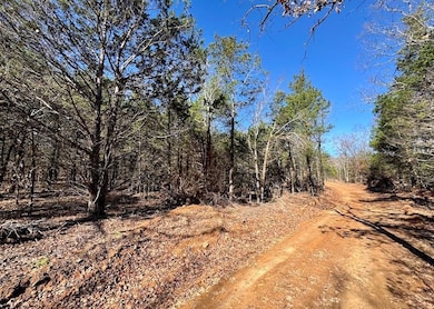 Tbd unit LotWP001, Natural Dam, AR 72948 - photo 4