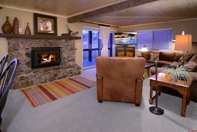 35 Emmons Rd unit 3, Crested Butte, CO 81225 - photo 3