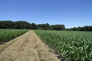 4925 Sawyer Rd, Sawyer, MI 49125 - photo 5