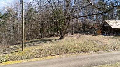 0 Salt Ln unit RTC2796899, Savannah, TN 38372 - photo 4