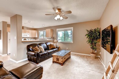 842 Mink Ln Fraser CO 80446-large-006-5-