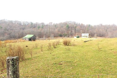 793 Coffeytown Rd, Vesuvius, VA 24483 - photo 2