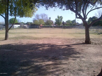 Huge Backyard