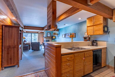 11 Hunter Hill Rd unit 406, Crested Butte, CO 81225 - photo 5