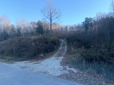 3515 Ky 1232, Gray, KY 40734 - photo 4