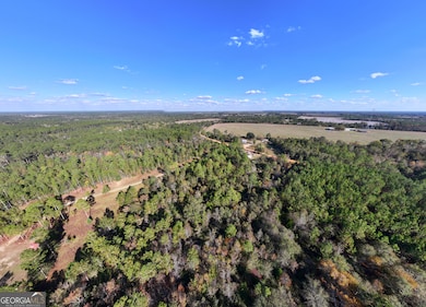 2.01 ACRES Clifford Rogers Rd, Lyons, GA 30436 - photo 7
