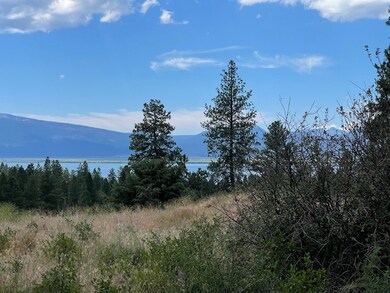 IMG_3963
