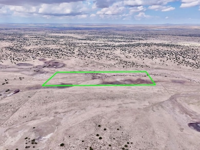 Tbd N6120, Saint Johns, AZ 85936 - photo 6