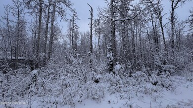 48609 S Tussle Cir, Willow, AK 99688 - photo 4