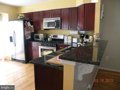 46876 Graham Cove Square, Sterling, VA 20165 - photo 2