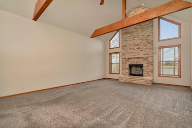 717 Casey Dr, Minooka, IL 60447 - photo 5