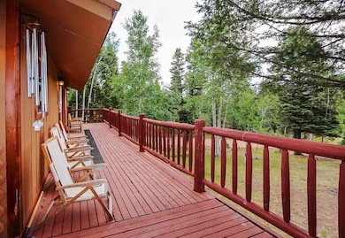 11 Mountain Lake Terrace, Angel Fire, NM 87710 - photo 3
