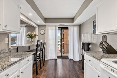 828 Graceland Ave unit 405, Des Plaines, IL 60016 - photo 5