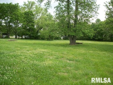 1813 W Chestnut St, Harrisburg, IL 62946 - photo 4