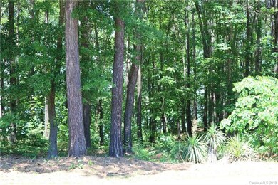 130 Bridgeland Trail unit Lot 4, Statesville, NC 28677 - photo 7