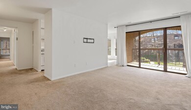 11228 Chestnut Grove Square unit 232, Reston, VA 20190 - photo 4