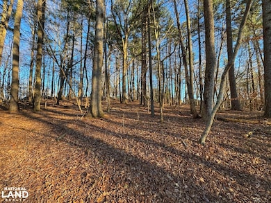 0 Catawba Valley Blvd SE unit 24454786, Hickory, NC 28602 - photo 7