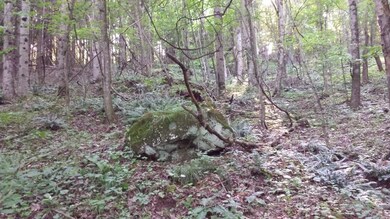 20150803_180156 (800x450)