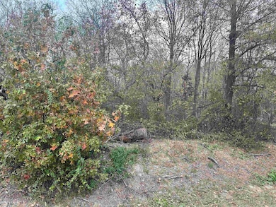 0 Main St, Alicia, AR 72410 - photo 6