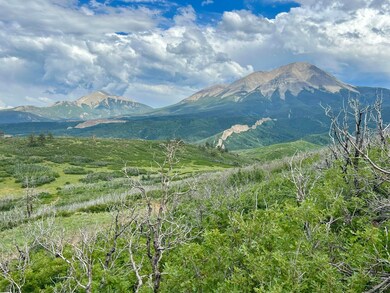 IMG_6425