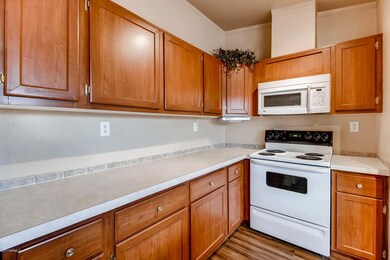 1644 E Blue Wash Rd New River-large-007-