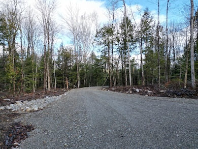 Lot 7 Beaver Ln, Lincoln, ME 04457 - photo 2