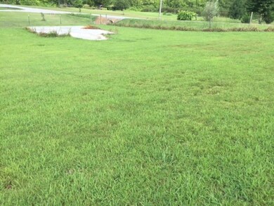 2097 Mcentire Cir, Chatsworth, GA 30705 - photo 2