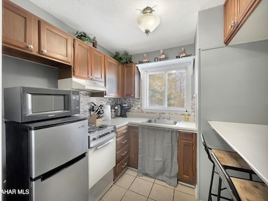 185 E Valley Point Ln unit B101, Claysburg, PA 16625 - photo 6