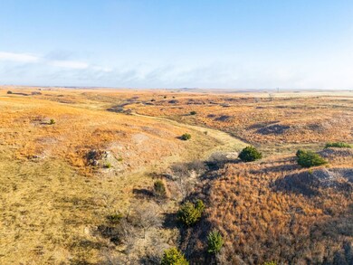 TBD S County Rd 170, Shattuck, OK 73858 - photo 2