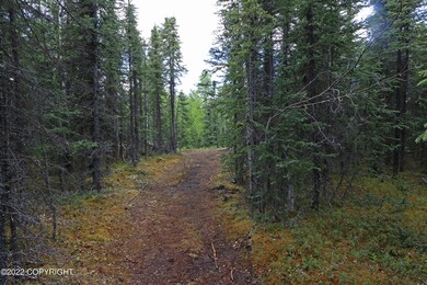 IMG_0696