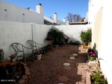 back yard