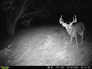 1 Co Rd, Larned, KS 67550 - photo 5