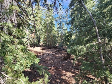 Seclusion and privacy