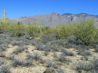 0 N Campbell Ave unit 21400292, Tucson, AZ 85718 - photo 7