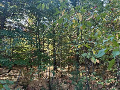 PAR A 16th St, Baldwin, MI 49304 - photo 3