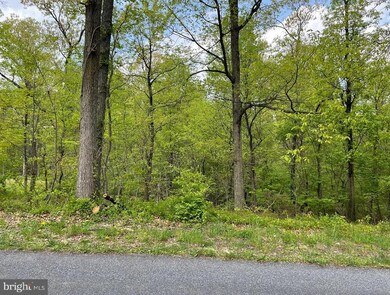 0 Sweitzer Rd unit PABK2026312, Mohnton, PA 17540 - photo 3