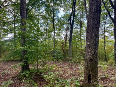 80 Paradise Aly, Russell Springs, KY 42642 - photo 6