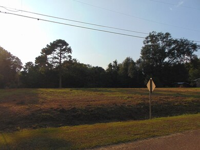 1003 Wooden St, Wesson, MS 39191 - photo 5